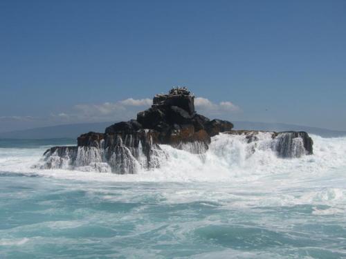 Passage to Galapagos,&nbsp;Ecuador