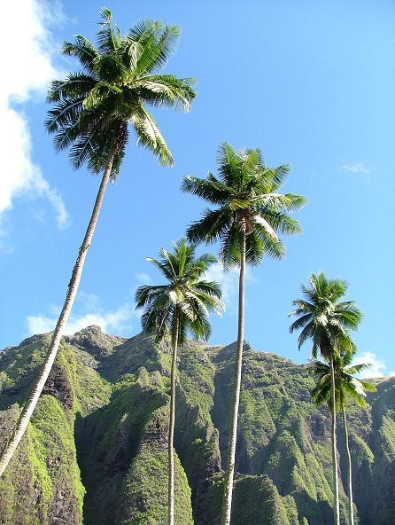 Anchored at Anaho, Nuka&nbsp;Hiva