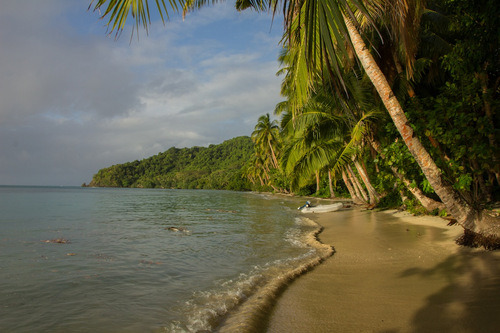 Panea & his ‘Rehab’ in&nbsp;Paradise