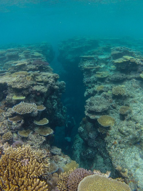 Tempting Fate at Varuna&nbsp;Pass