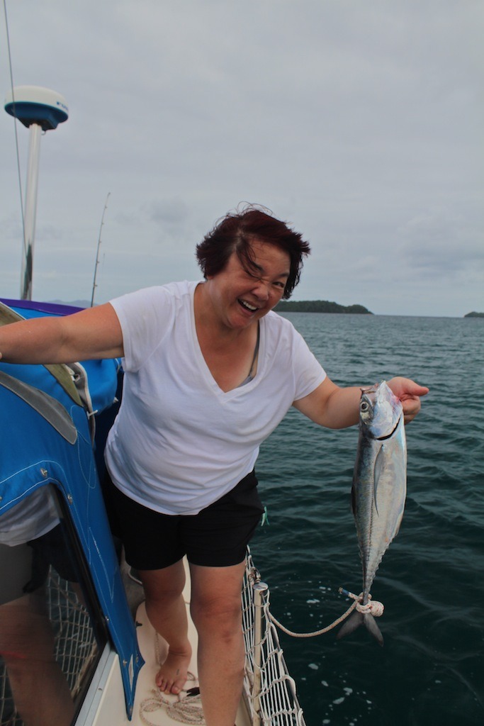 Po Po comes to&nbsp;town