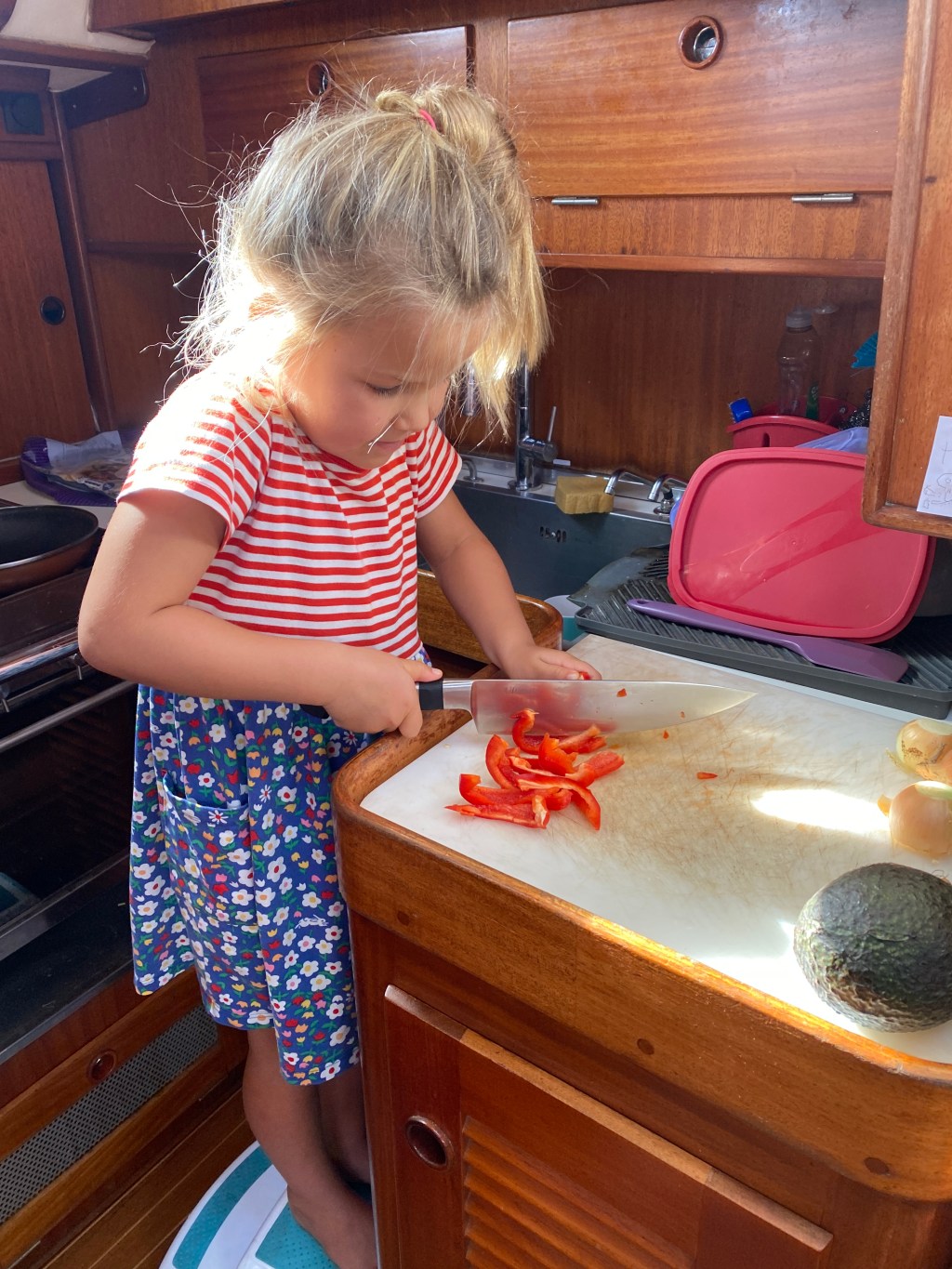 Homeschooling part 2