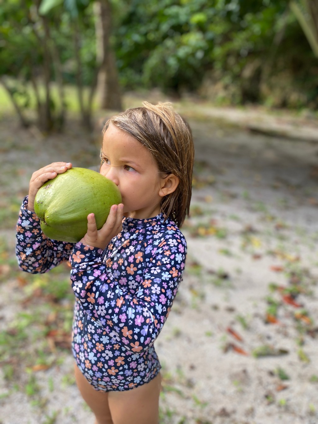 Coconut hunting