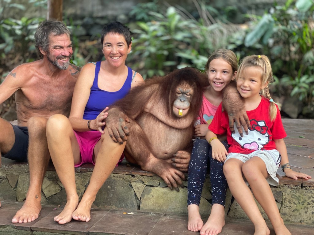 Waterfalls and Orang-utans