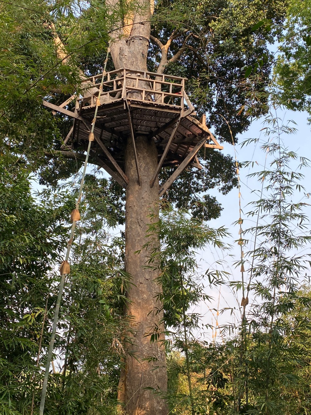 the slow boat to the Gibbon&nbsp;Experience