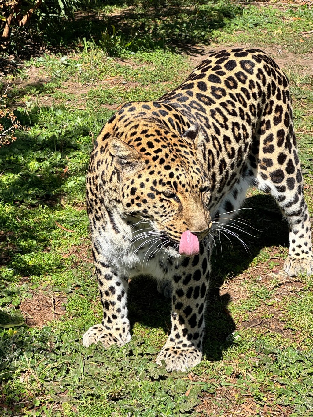 South Africa!
